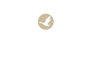 de Lachende Gans